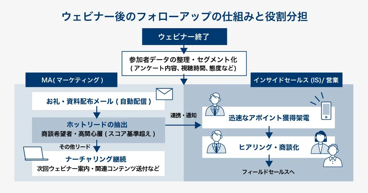 ウェビナー後のフォローアップ戦略と役割分担を示すフローチャート。ウェビナー終了後、参加者データを整理・セグメント化。MA（マーケティング）がフォローメールを自動配信し、ホットリード（商談希望者や高関心層）を抽出。インサイドセールス(IS)がホットリードへ迅速に架電し、商談化を目指す。その他のリードはMAでナーチャリングを継続する連携プロセスが描かれている。