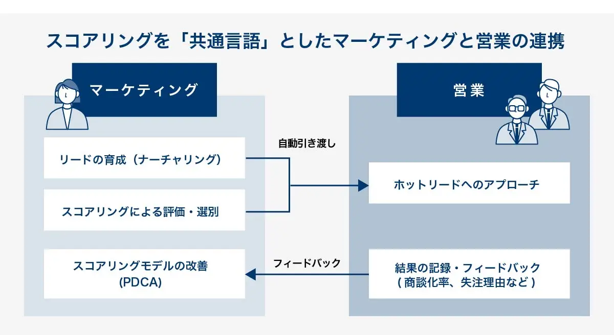 スコアリングを軸としたマーケティングと営業の連携プロセス図。まず両部門で「ホットリード（MQL）の定義」を合意（SLA締結）。次にマーケティングがMAでリードを育成・スコアリング。基準点を超えたリードは自動で営業（IS/FS）へ引き渡される。営業はリードに対応し、その結果（商談化、失注理由など）をマーケティングへフィードバック。このフィードバックを基にスコアリングモデルを改善するPDCAサイクルが描かれている。